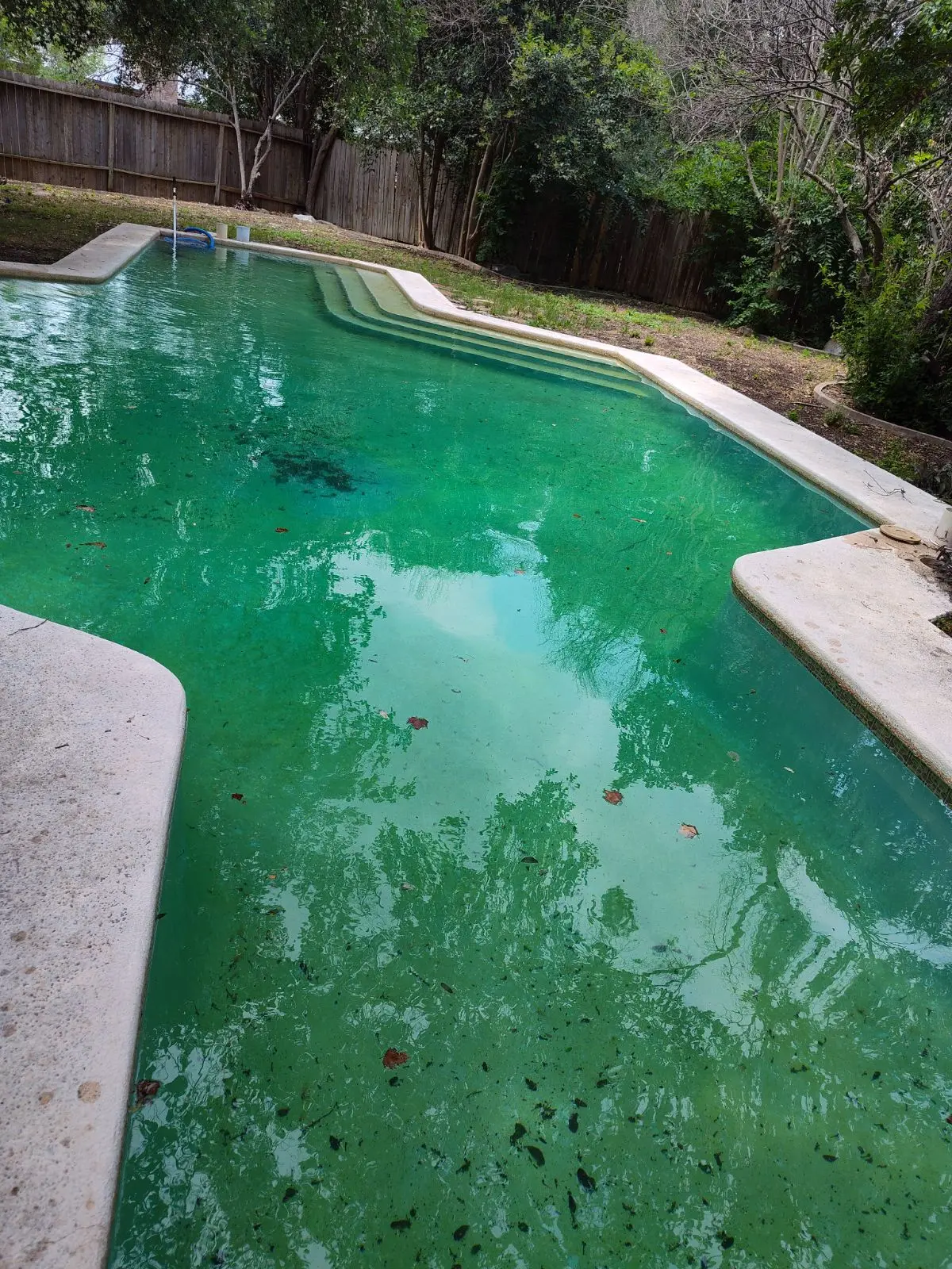 Green dirty pool before cleaning